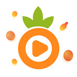 大菠萝福建导航app哔哩哔哩小说